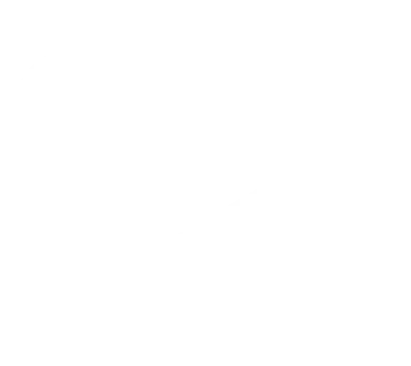 footer-icons